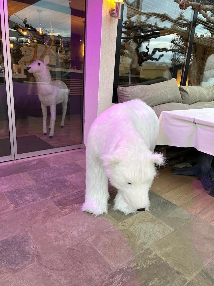 Hotel De La Mer Le Barcarès エクステリア 写真