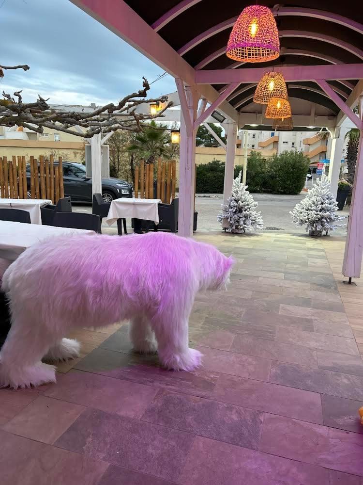 Hotel De La Mer Le Barcarès エクステリア 写真